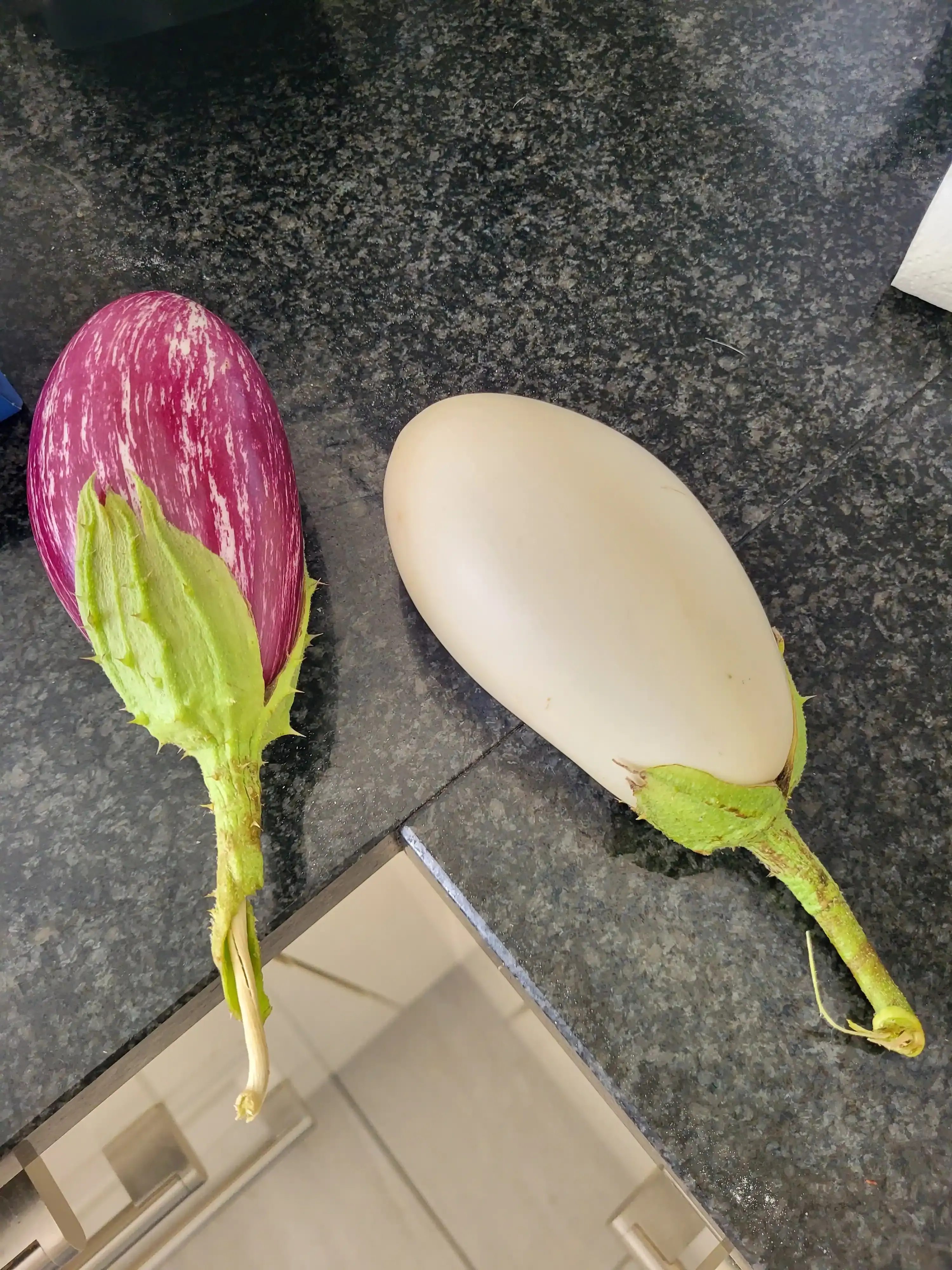 Aubergine violette et blanche