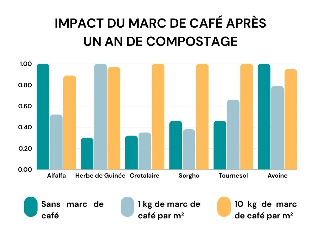 Infographie - Impact du marc de café composté sur les cultures