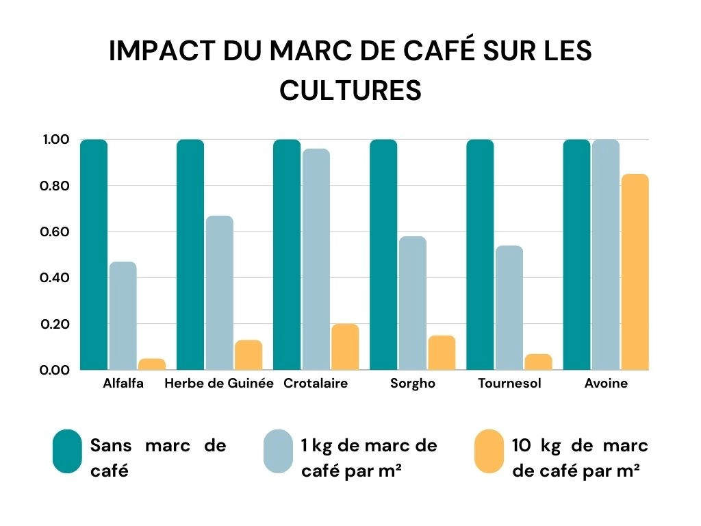 Infographie - Impact du marc de café sur les cultures