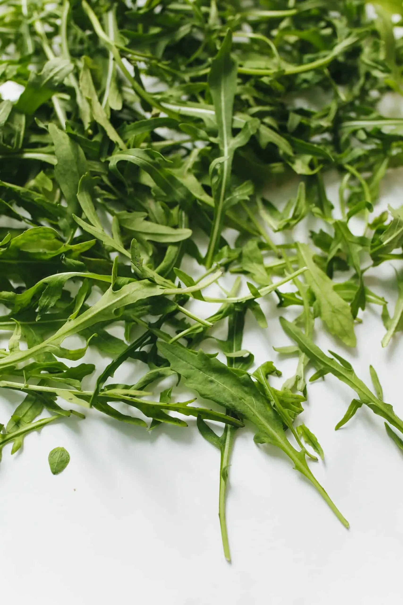 Feuilles de roquette