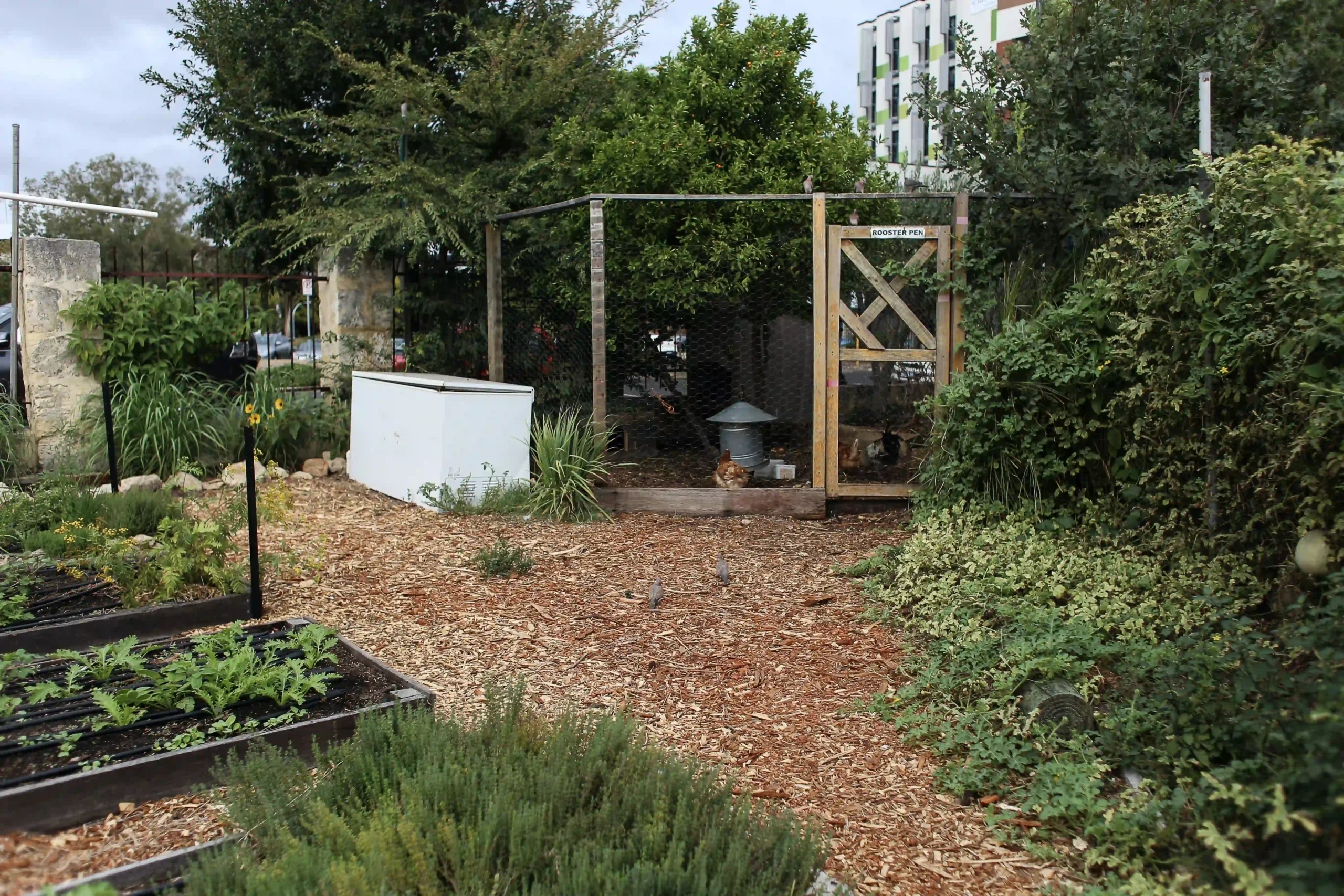 Le carré potager est la façon parfaite de commencer un jardin ! Comment bien le construire ? Comment le remplir ? On vous dit tout !