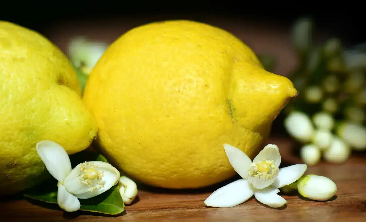 Découvrez les secrets du citronnier - variétés, récolte et utilisation. Un guide complet pour apporter la Méditerranée dans votre jardin