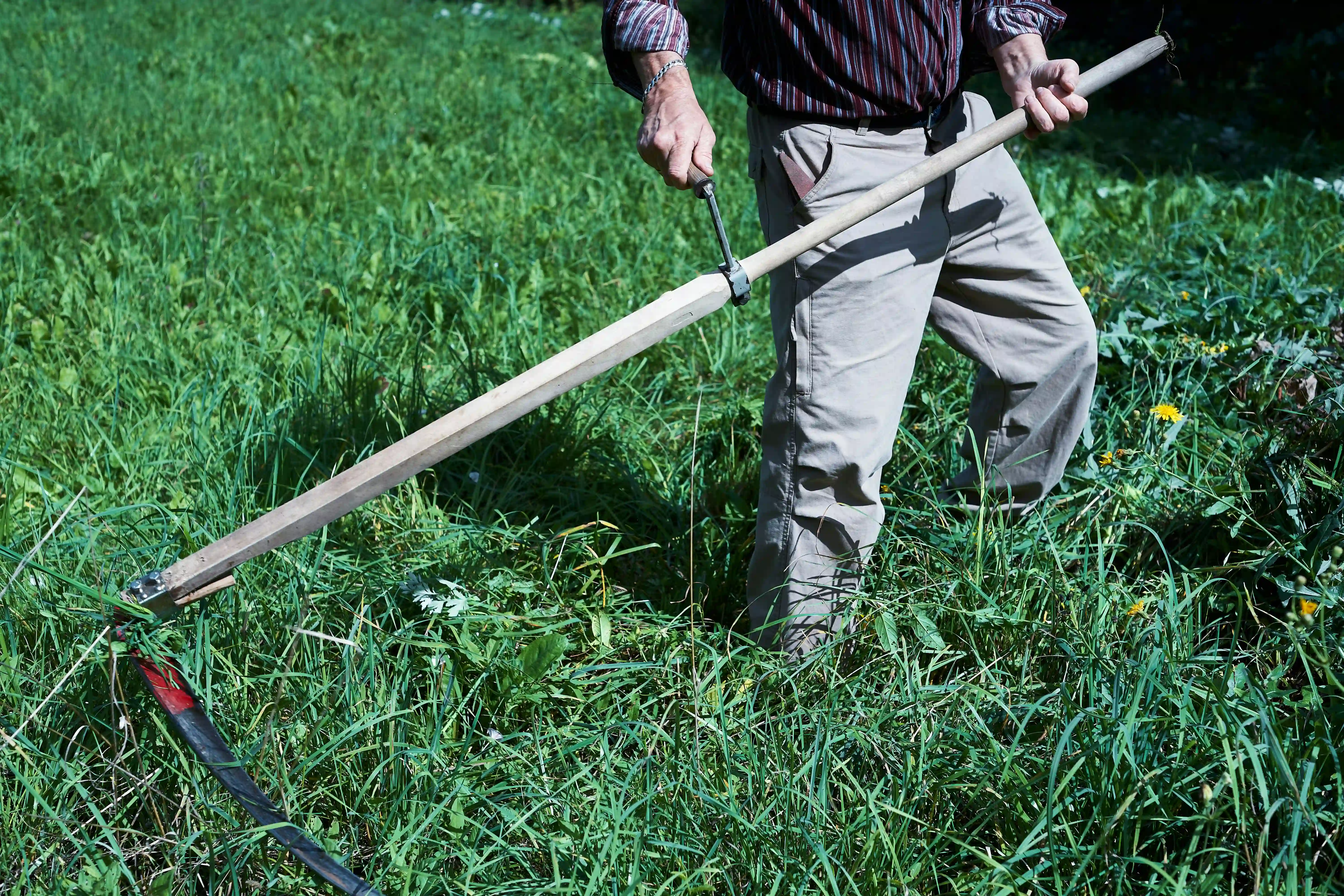 Pratiquer la tonte raisonnée au jardin : Avantages de cette méthode