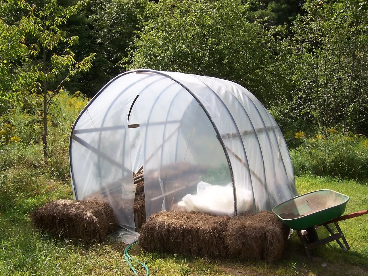 Comment faire un potager en permaculture ?